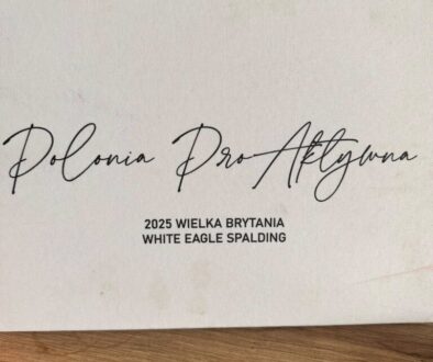 601799956_858837410209896_6621970265139603170_n